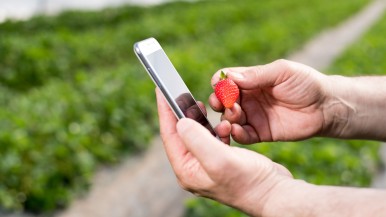 Monitoring the field with the smartphone